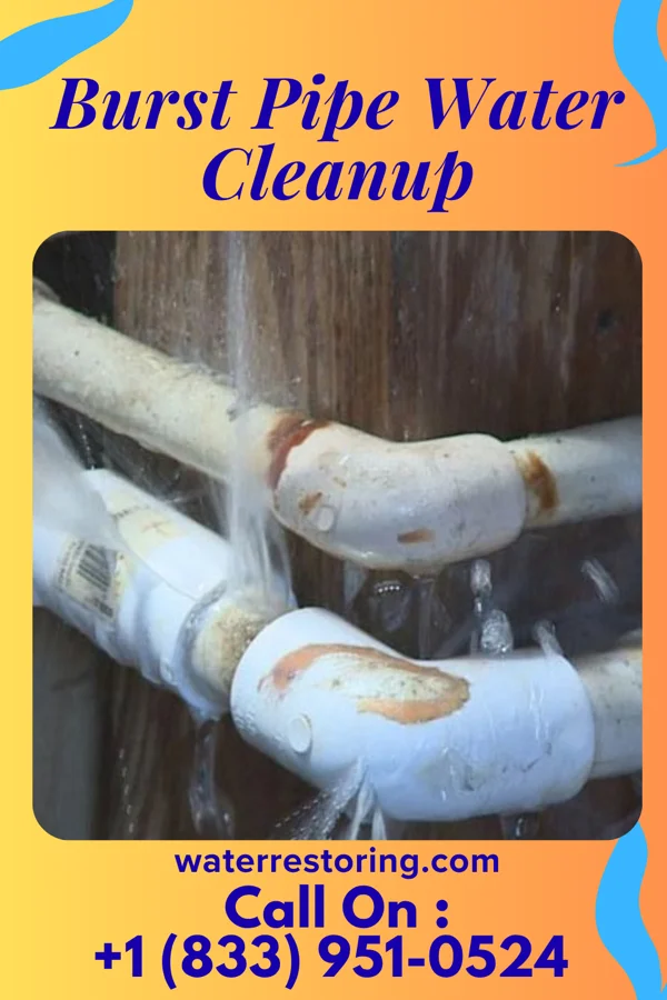 Burst Pipe Water Cleanup in Bass Lake, IN