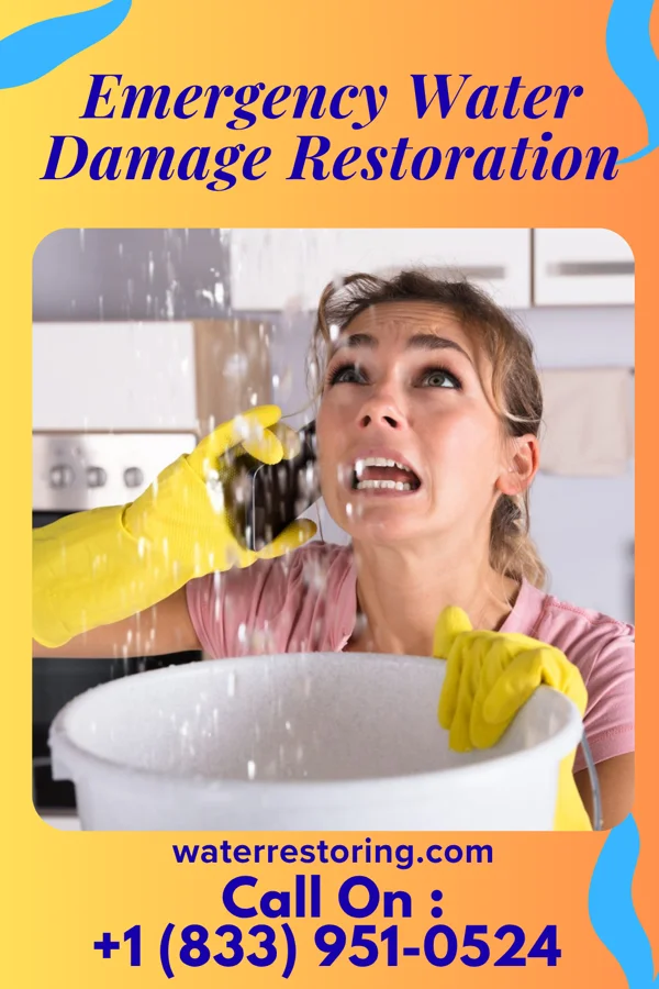 Emergency Water Damage Restoration in Bass Lake, IN