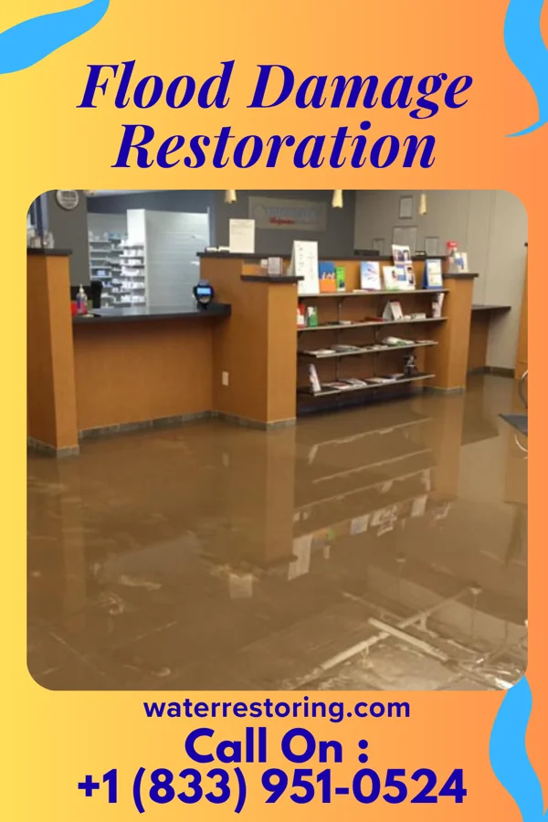 Flood Damage Restoration in Bass Lake, IN