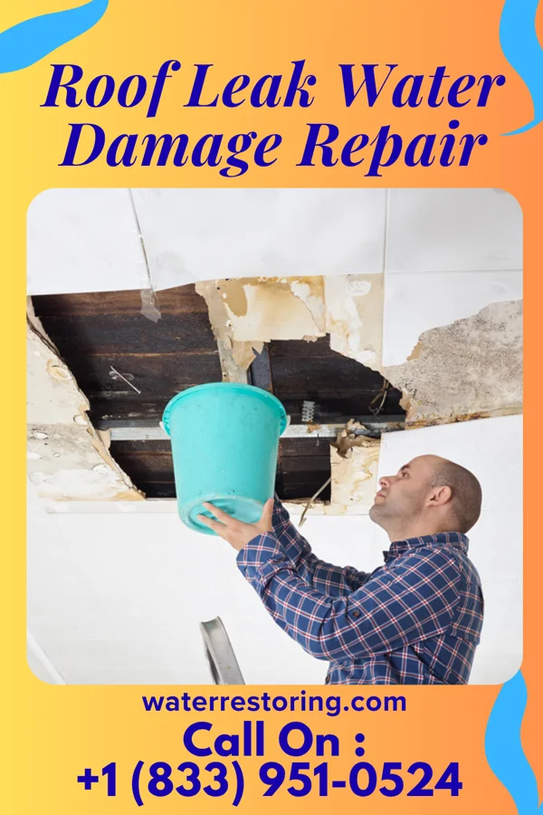 Roof Leak Water Damage Repair in Bass Lake, IN