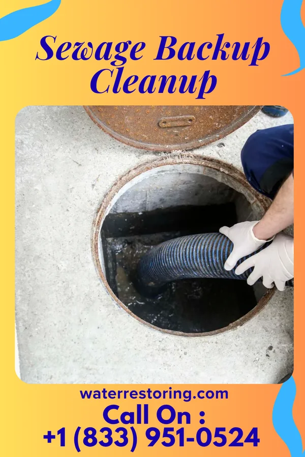 Sewage Backup Cleanup in Bass Lake, IN