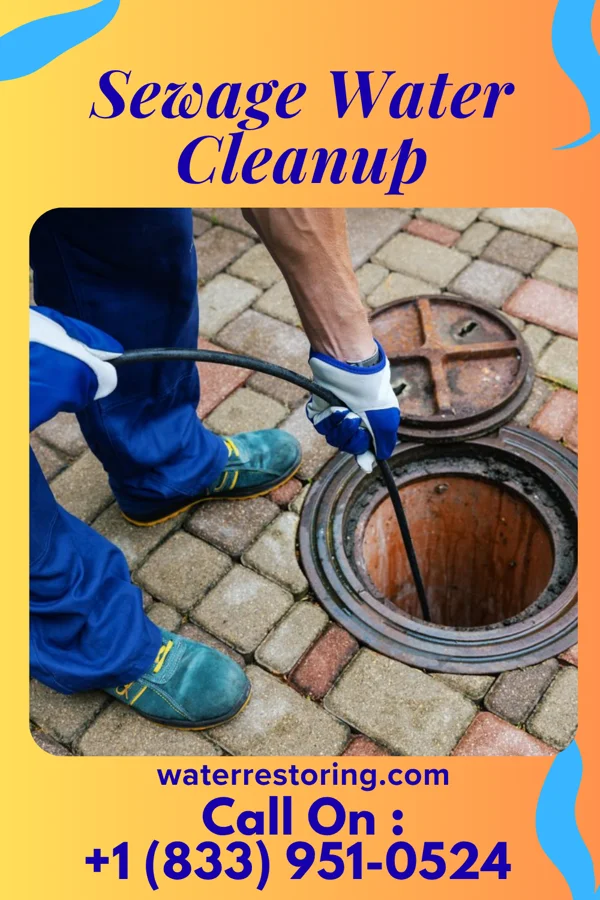 Sewage Water Cleanup in Bass Lake, IN