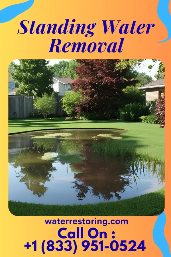 Standing Water Removal in Bass Lake, IN